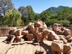 -西安秦岭野生动物园