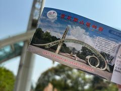 -南山植物园