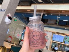 -野萃山·潮汕厚果汁(十亩地店)