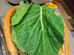 -阿婆情腊排骨火锅(古城旗舰店)