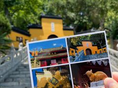 -鸡鸣赐茶(鸡鸣寺路店)