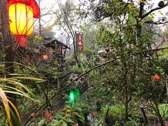 -青城甲(青城山店)