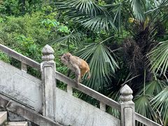 -苏州上方山国家森林公园
