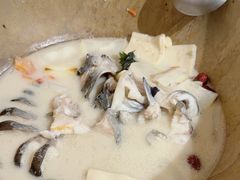 -云中鱼蒸汽石锅鱼(川沙百联店)