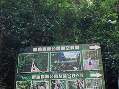 -西双版纳原始森林公园