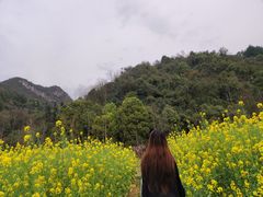 -贵阳市花溪国家城市湿地公园