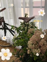 -巴黎婚纱摄影工作室