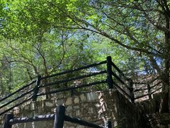 -周口店北京人遗址公园