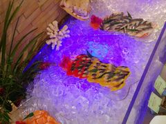 android_upload_pic-厦门悦华酒店·绿庭主题自助餐厅