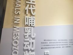 -国家自然博物馆