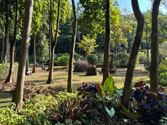 -云溪植物园