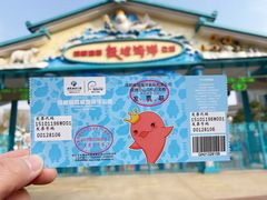 -海合安成都极地海洋公园
