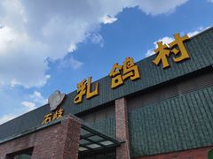 -石岐乳鸽村(南海第三分店)