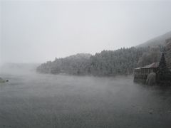 -庐山风景区花径公园