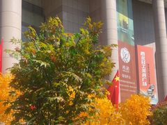 -西北轻工批发市场