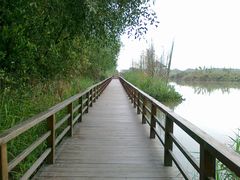 -大湾区中央湿地公园