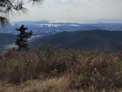 -惠山国家森林公园