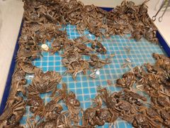 -藜爱·山海情海鲜自助(万达广场店)