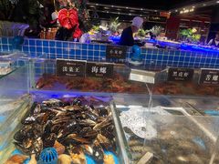 -加餐海鲜自助(宝龙一城店)