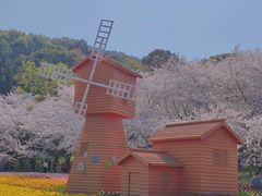 -苏州上方山国家森林公园