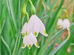 -上海植物园-4号门售票处
