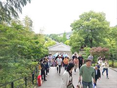 -上海佘山国家森林公园西佘山园