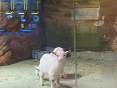 -正佳雨林生态植物园