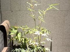 -王府茶楼茶宴·创意菜(朝阳公园店)