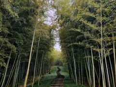-良渚古城遗址公园
