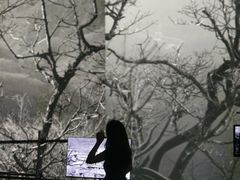 -中国美术学院-美术馆