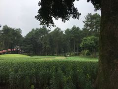 -保利石象湖景区