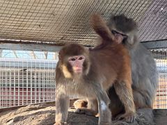 -北京市海淀外国语实验学校