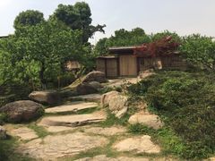 -秀丽东方