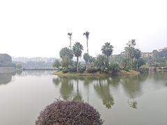 -枫香湖儿童公园