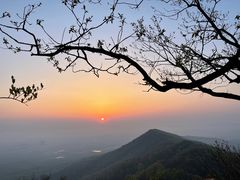 -紫金山山顶公园