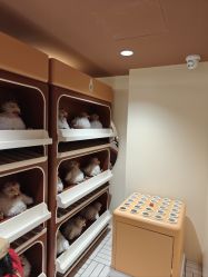 -奈尔宝·国风主题儿童乐园·亲子餐厅(豫园商城店)