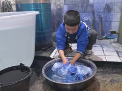 -璞真扎染博物馆