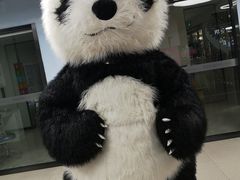 -宜乐荟