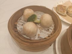 -新雅粤菜馆(南京东路店)