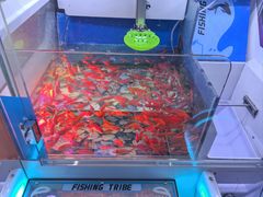 -利群商厦(台东店)