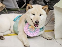 -凯德广场(武胜路店)