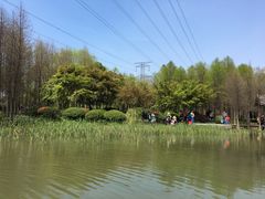 -昆山城市生态森林公园