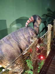 -恐龙探索乐园(磁器口店)