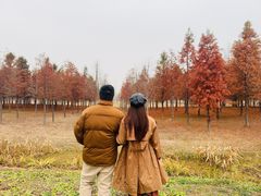 -黄海国家森林公园