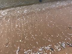 -东戴河风景区-止锚湾