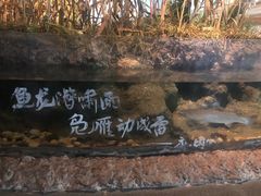 -中国湿地博物馆