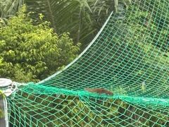 -圣淘沙天际线斜坡滑车