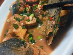 -全乐鱼馆·淳牌有机鱼直营店