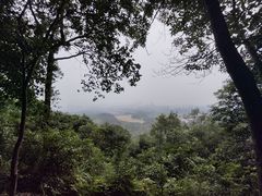 -大奇山国家森林公园