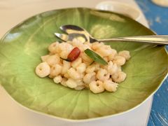 -上海和平饭店龙凤厅 Dragon Phoenix